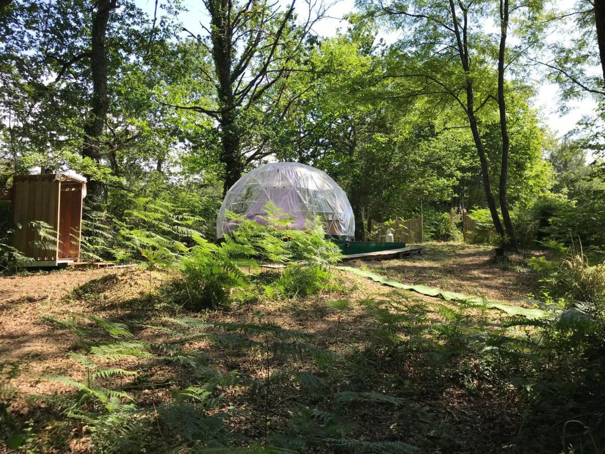 Bulle Etoilee En Nature Landaise Saint-Sever  Extérieur photo